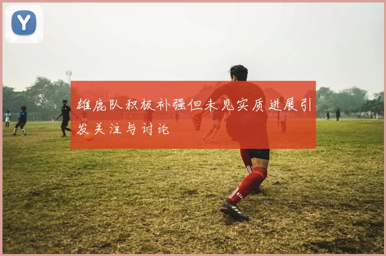 雄鹿队积极补强但未见实质进展引发关注与讨论